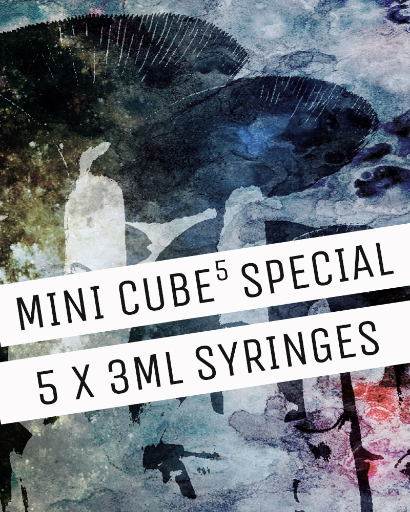 cube 5 special offer