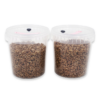 Sterile Grain SpawnTubs; two plastic containers filled with sterilised grains to be used for mushroom cultivation