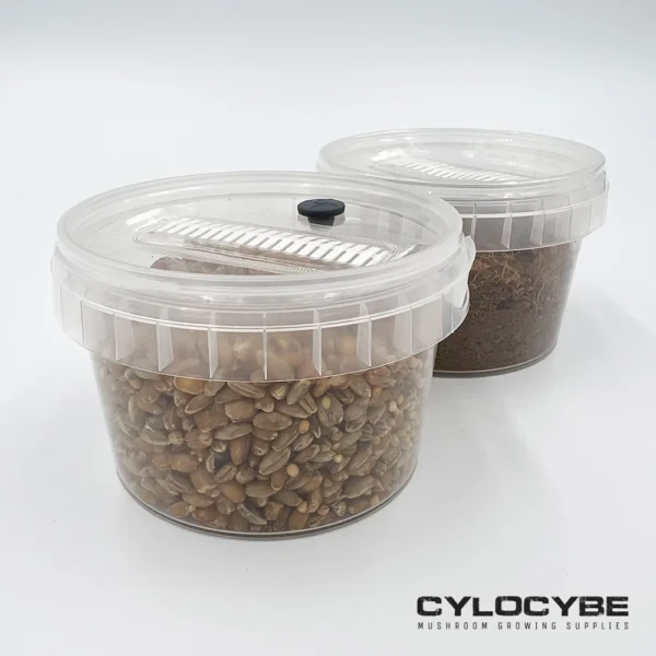 dry coir and multigrain pot with injection port