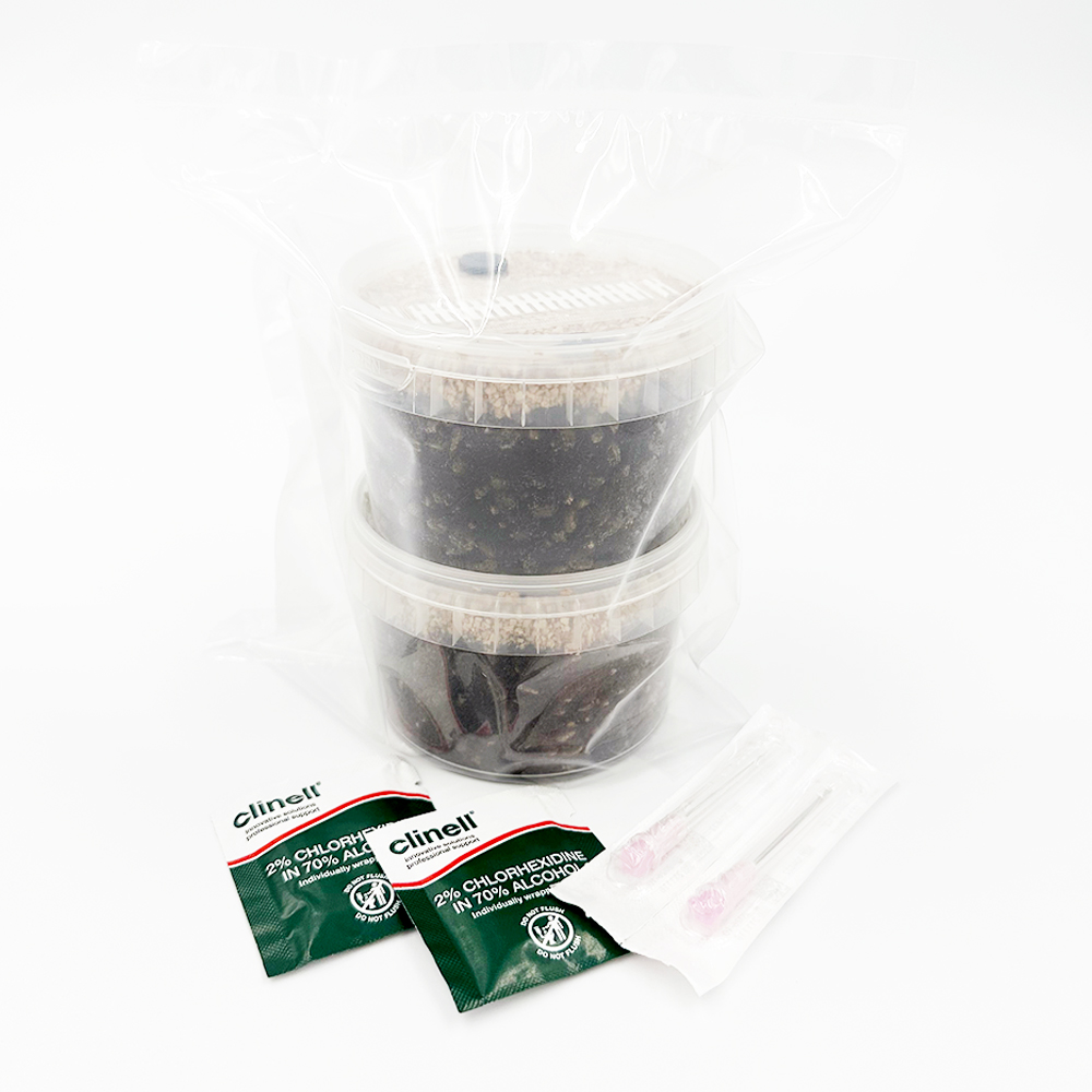 Cylocybe Special MycoPots sealed in bag with wipes and needles