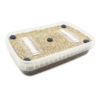 Cylocybe Special MycDrop: a shallow rectangular plastic container with filters and ports on the lid filled with a substrate suitable for growing mushrooms