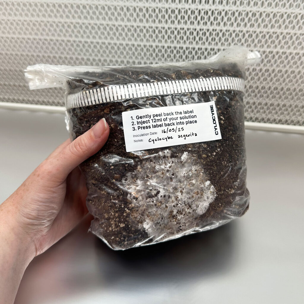 MycMonster™ Grow Kit