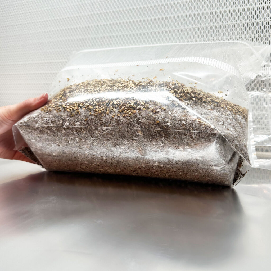 MycMonster™ XL Grow Kit