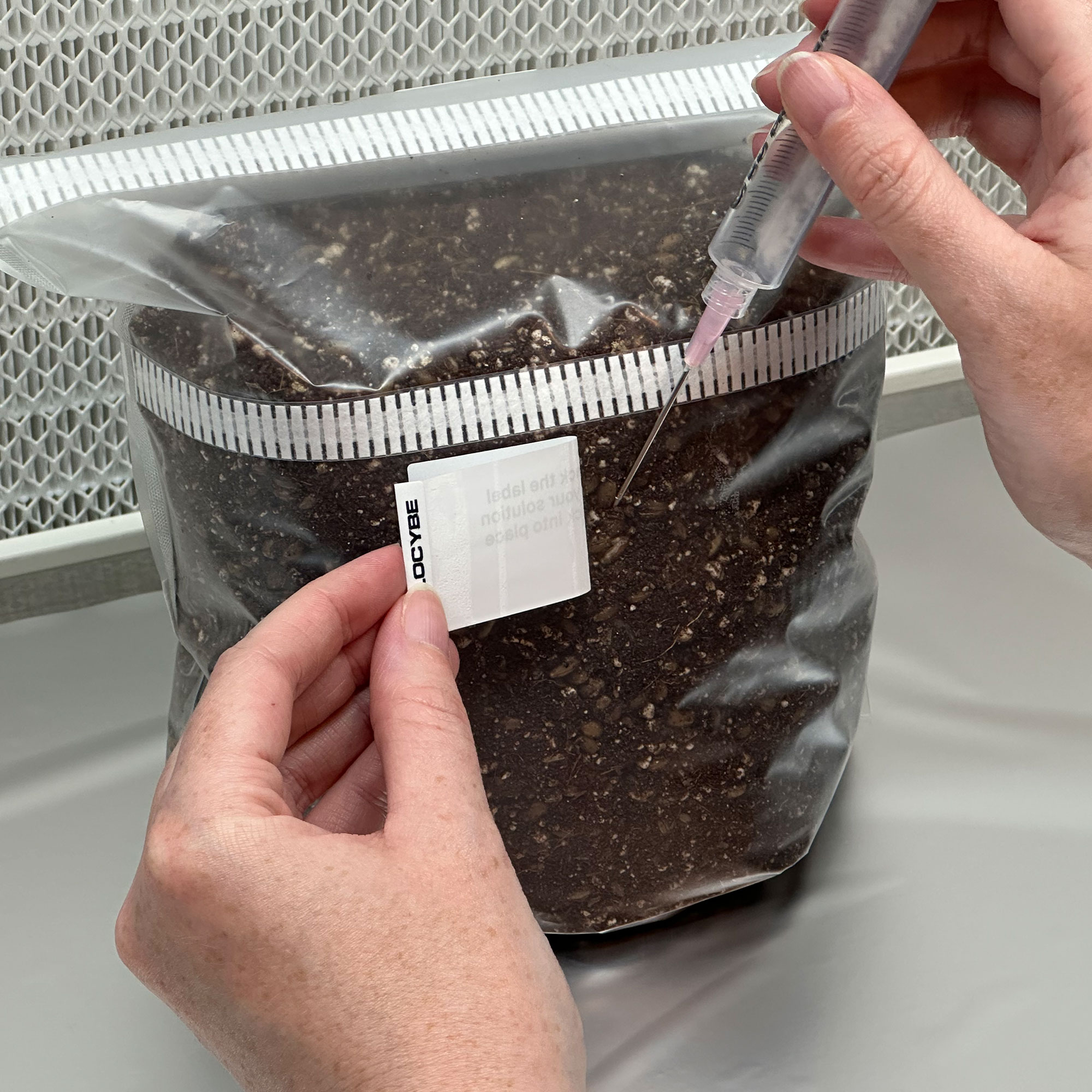 Peeling and inoculating MycMonster